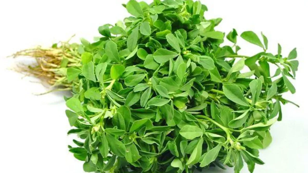 Fenugreek Health Benefits: బరువు తగ్గించే ఆకు కూరలు ఇవే..షుగర్ కూడా తగ్గుతుంది