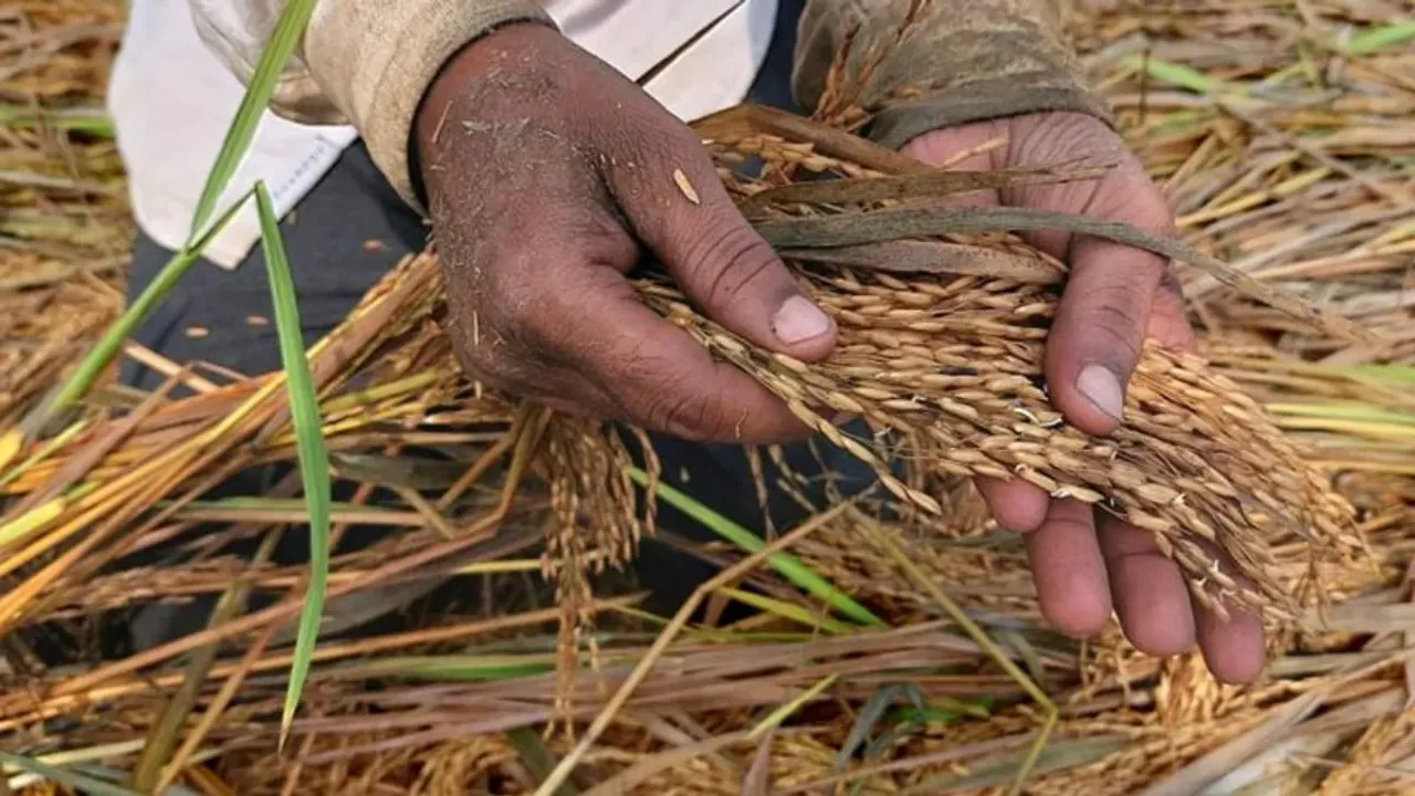 Telangana Rains: మమ్మల్ని ఆదుకోండి సారూ.. రైతుల ఆవేదన!