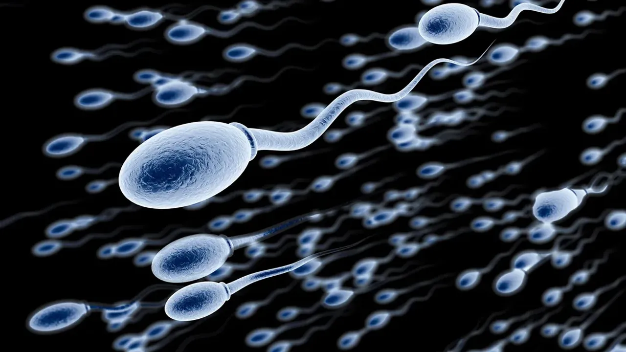 Infertility: సంతానలేమికి ఇది కూడా ఓ కారణమే.. పరిశోధనల్లో వెల్లడి