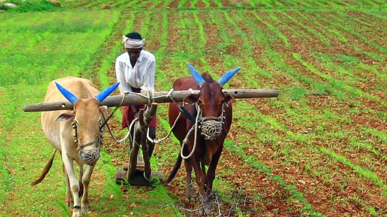 PM Kisan Update : రైతులకు అలెర్ట్.. పీఎం కిసాన్‌ 17వ నిధుల విడుదలపై కీలక్‌ అప్‌డేట్‌!