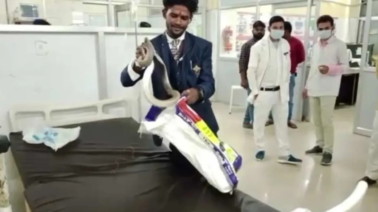 Viral: సార్‌ నన్ను కాటేసింది ఈ పామే...వెంటనే ఇంజక్షన్‌ చేయండి!