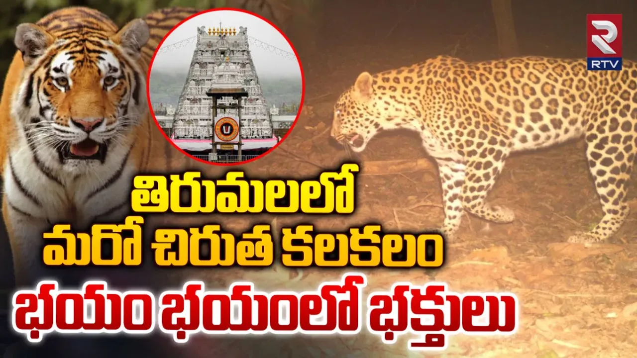 BREAKING : తిరుమలలో చిరుత సంచారం.. భక్తులకు టీటీడీ హెచ్చరికలు!