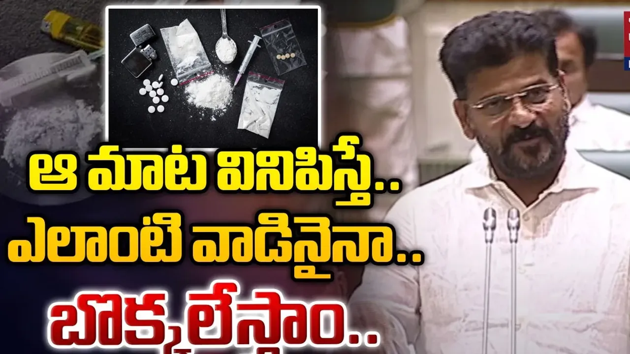 Telangana: ఎంతటి వారైనా బొక్కలేస్తాం.. అసెంబ్లీలో సీఎం రేవంత్ ఉగ్రరూపం..