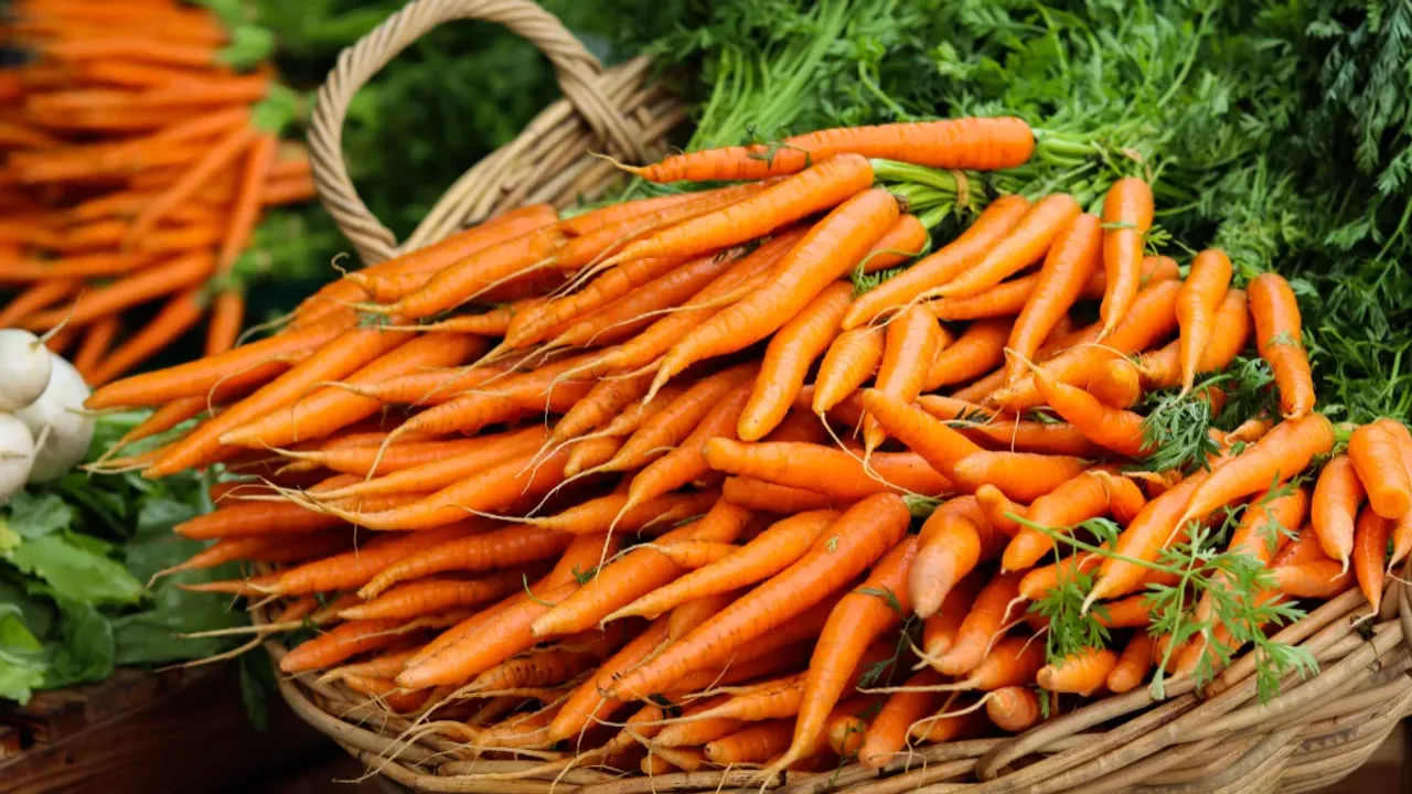 Carrots Tips: ఇలా చేస్తే క్యారెట్లు వాడిపోకుండా ఫ్రెష్‌గా ఉంటాయి