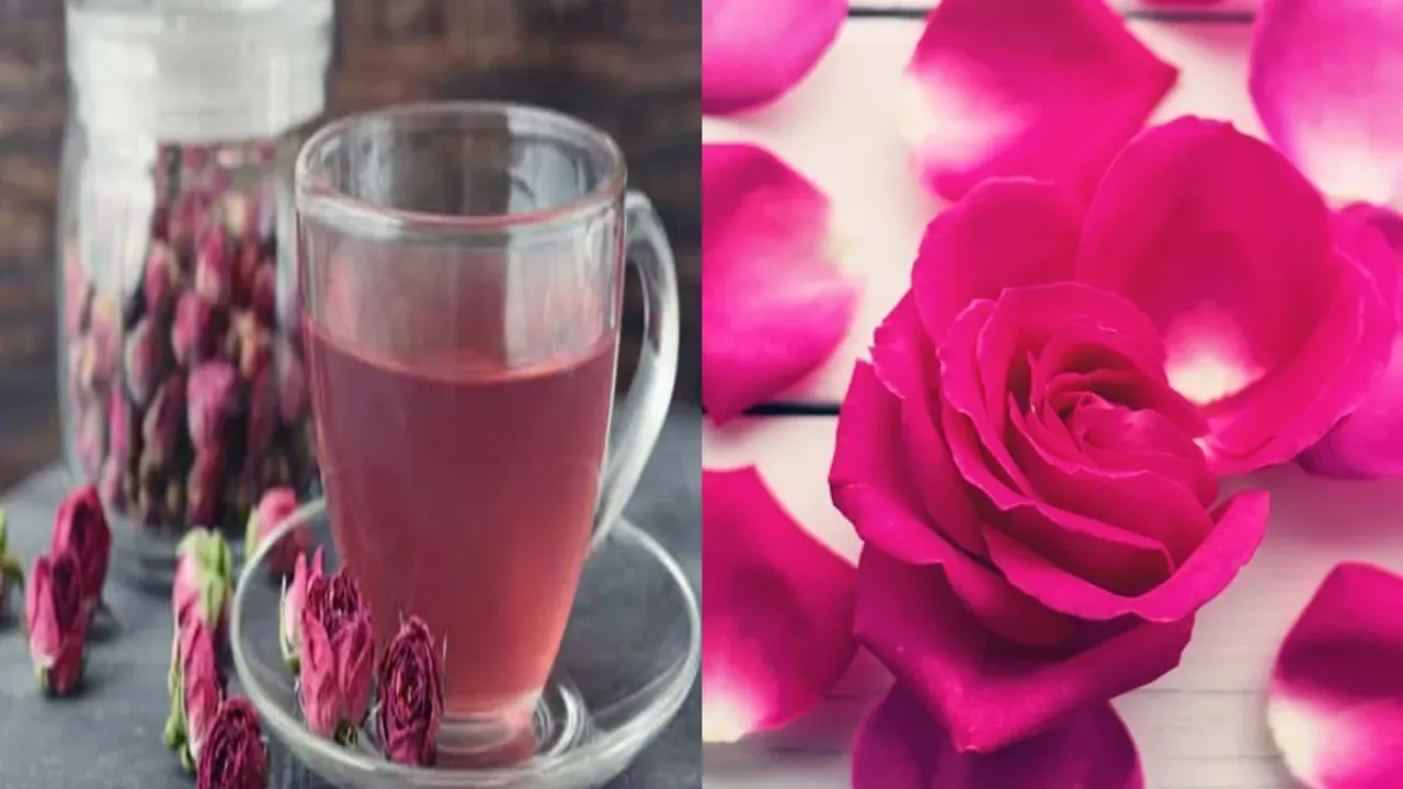 Rose Petals Infusion Benefits : ఈ కషాయం తాగితే అనేక అనారోగ్య సమస్యలు పరార్