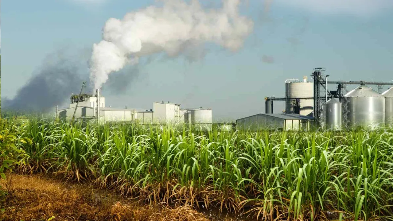 Ethanol Production: ఇథనాల్ కోసం చెరకు రసం ఉపయోగించడంపై నిషేధం 