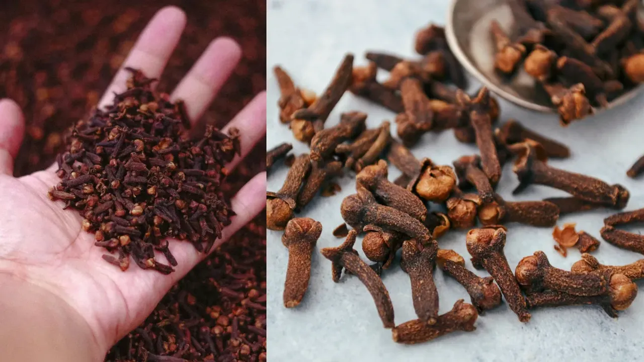 Clove Health: లవంగంతో కలిగే.. హెల్త్ సీక్రెట్స్ తెలిస్తే షాక్ అవుతారు..!