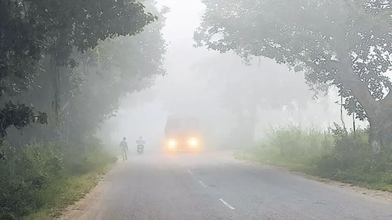 Alert: ఈ రెండు మూడు రోజులూ విపరీతమైన చలి.. హైదరాబాద్ వాతావరణ కేంద్రం హెచ్చరిక