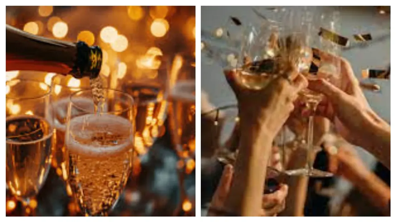 New Year 2024 Party: పార్టీ లేదా పుష్పా ..? న్యూ ఇయర్ పార్టీ ఇలా చేస్తే రిస్క్ ఉండదు.