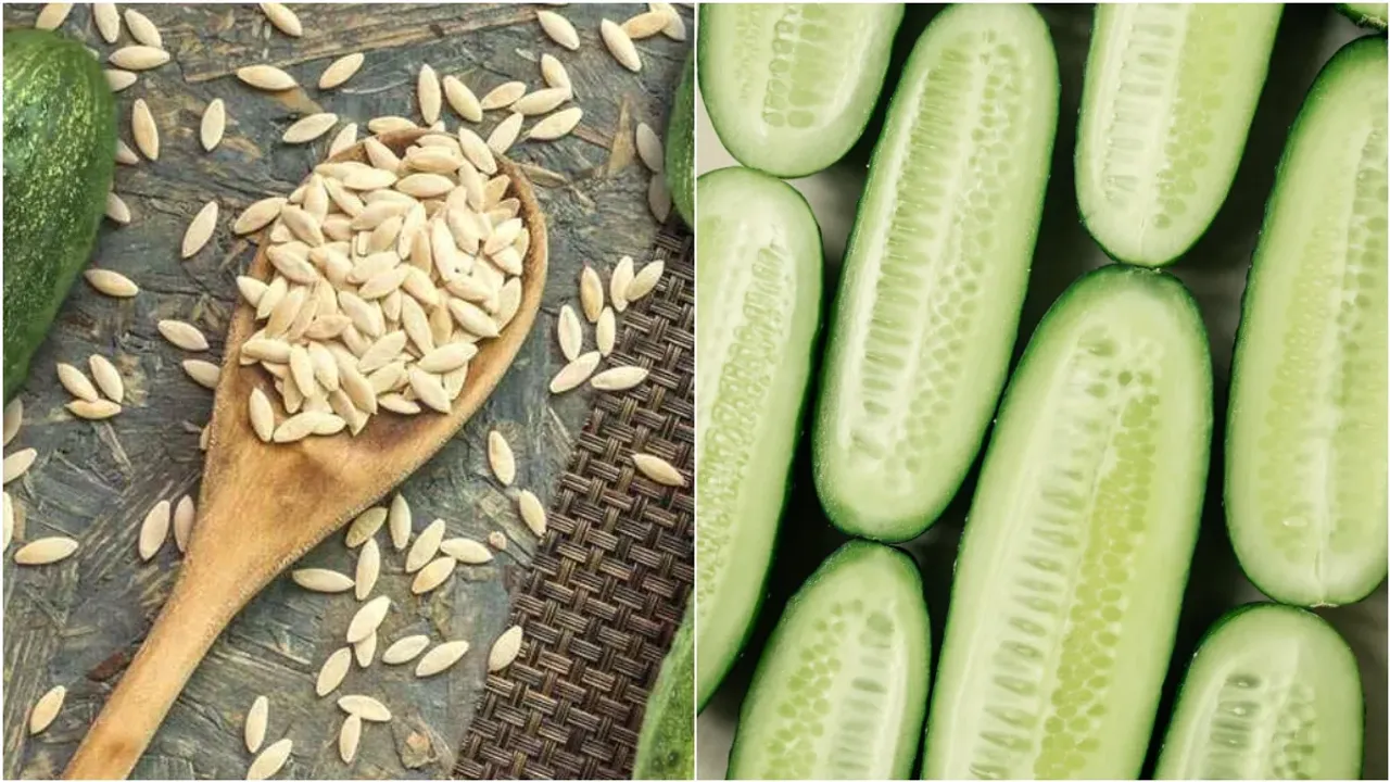 Cucumber Seeds: దోసకాయ గింజలు తింటే.. ఇన్ని లాభాల..!