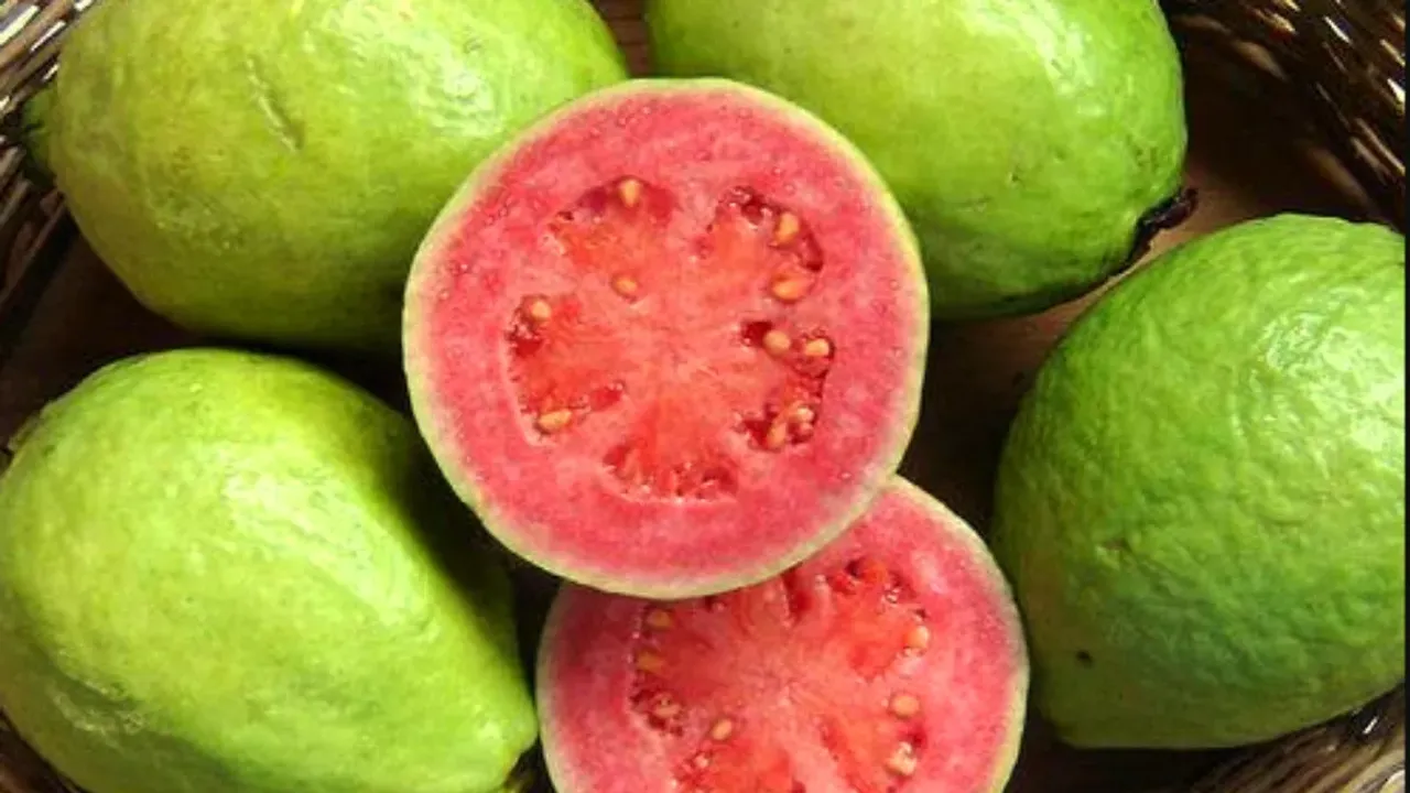 Guava Side Effects: జామకాయతో ఆరోగ్యమే కాదు.. అనారోగ్యం కూడా అదేంటో తెలుసుకోండి..?