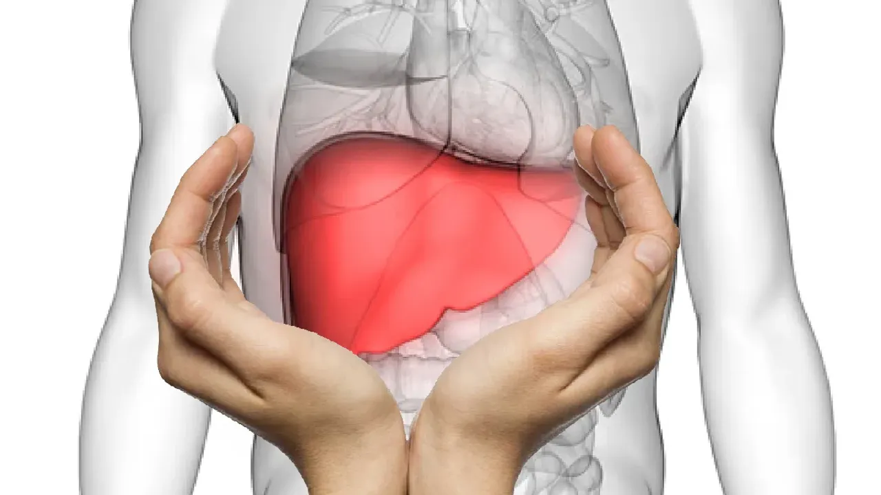 Liver Disease: మహిళల్లో ఎవరికి కాలేయ వ్యాధి వచ్చే ప్రమాదం ఉంటుంది..?