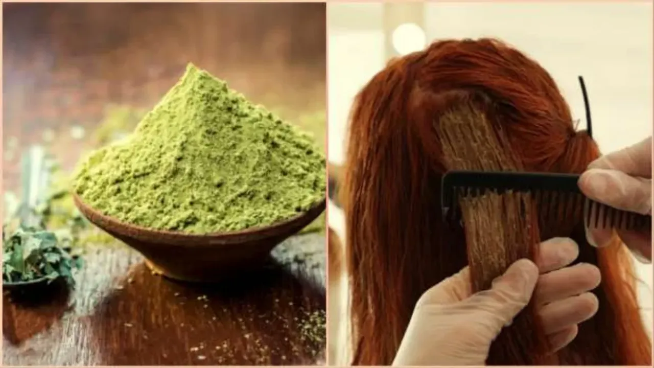 Hair Mehndi: జుట్టుకి మెహందీ పెట్టుకునేటప్పుడు ఈ జాగ్రత్తలు తీసుకోండి