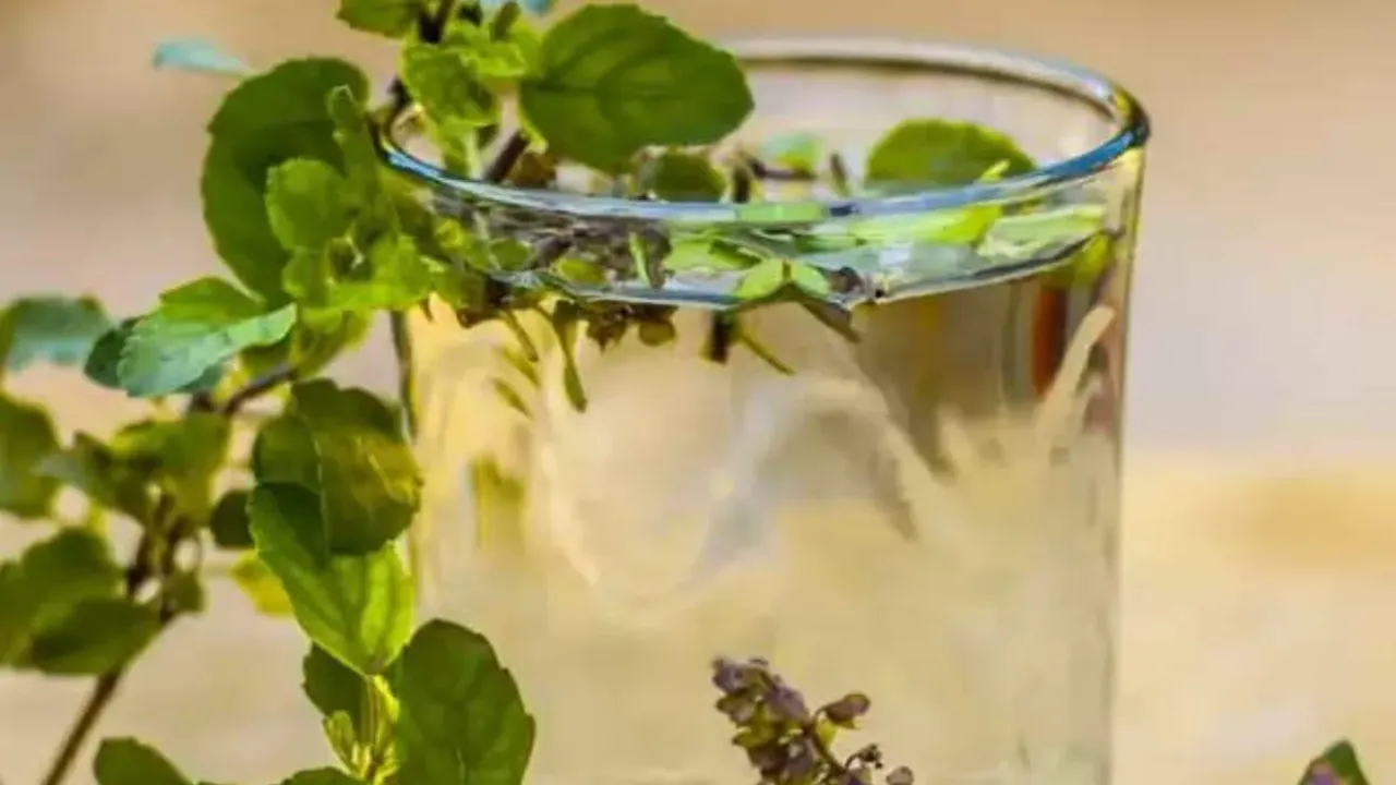 Health Tips: ఉదయాన్నే తులసి నీళ్లు తాగితే జరిగే అద్భుతాలు ఇవే