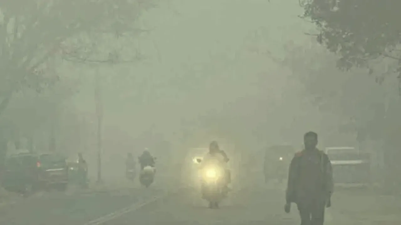 Driving Tips: పొగమంచు సమయంలో వాహనదారులు తీసుకోవాల్సిన జాగ్రత్తలు ఇవే!
