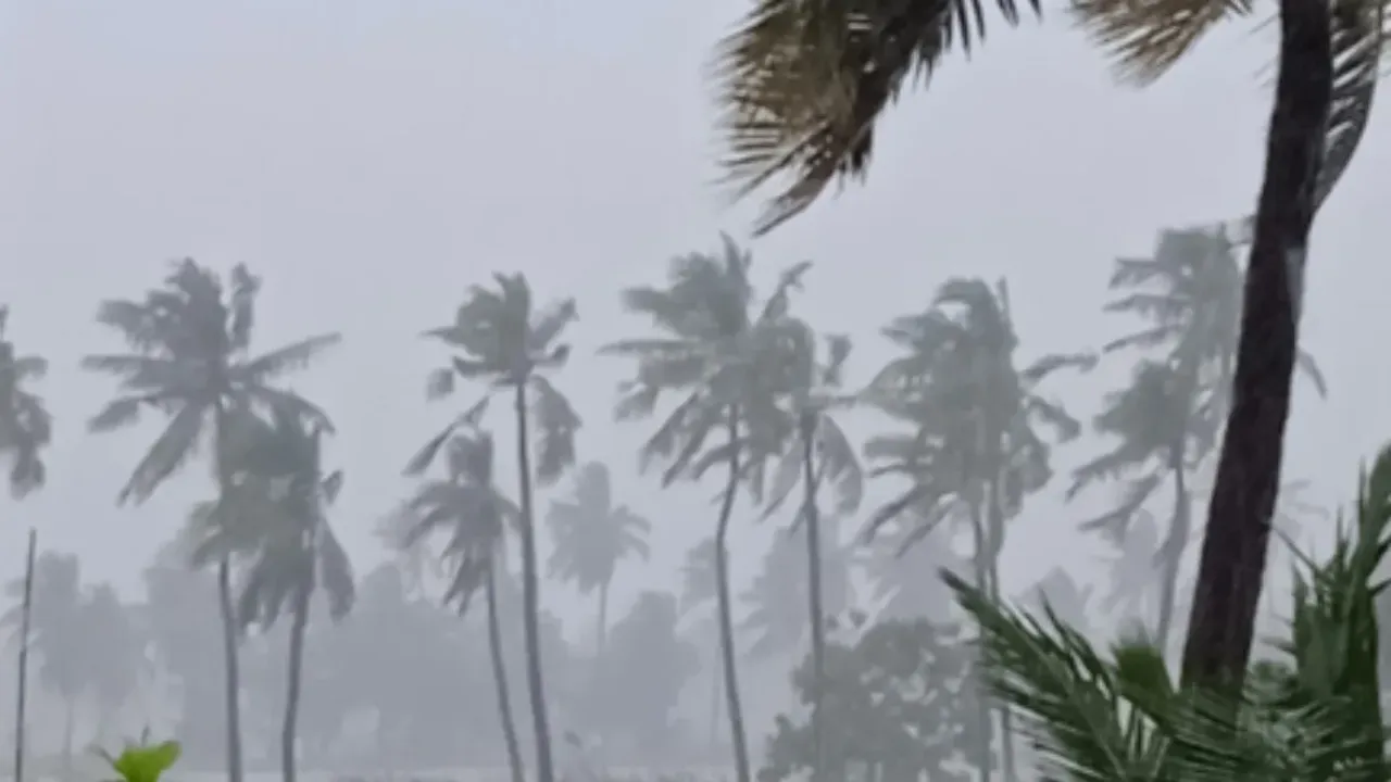 Michaung Cyclone: ముంచేసిన మిచౌంగ్‌!