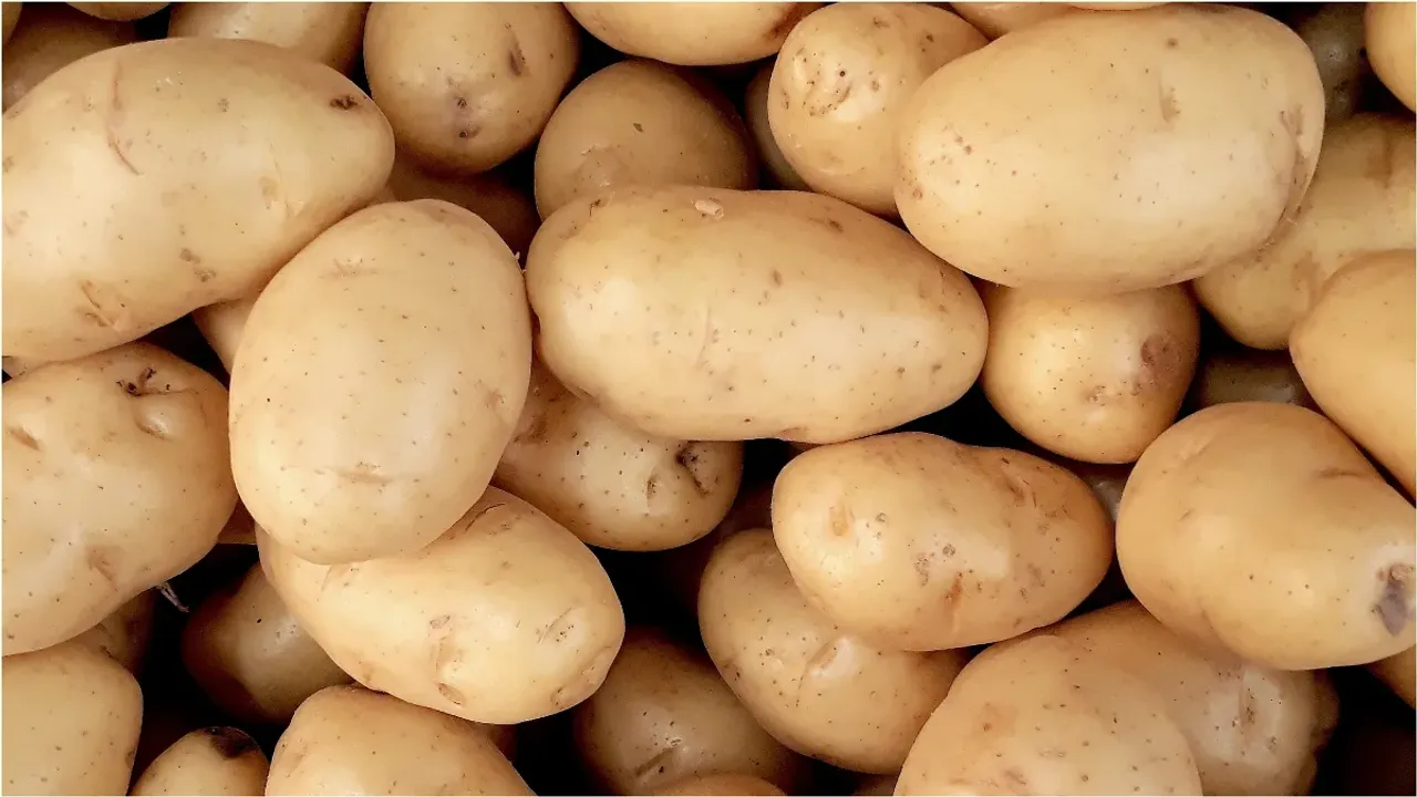 Potato: కూరగాయల్లో ఇది టాప్‌ బాసూ.. ఆరోగ్య ప్రయోజనాలు తెలిస్తే అవాక్కవాల్సిందే!