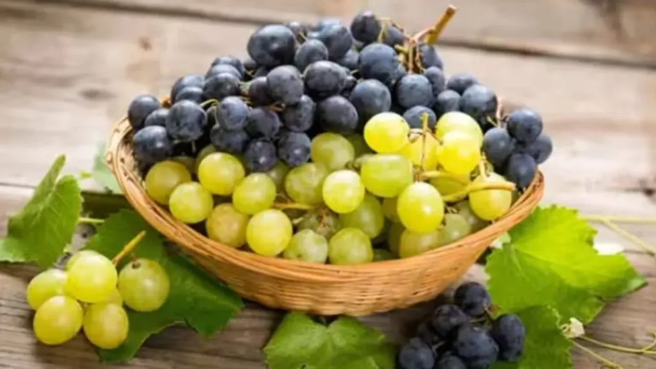 Black Grapes: నల్ల ద్రాక్షతో ఎన్నో ఆరోగ్య ప్రయోజనాలు.. అవేంటో తెలుసుకోండి!