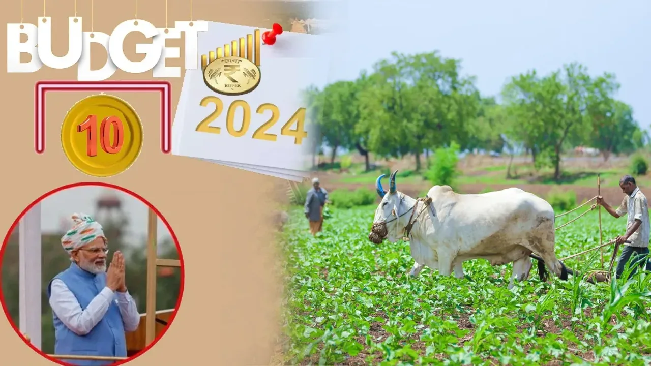 Budget Aspirations: బడ్జెట్ వచ్చేస్తోంది.. రైతన్నల ఆశలు తీరుతాయా? 