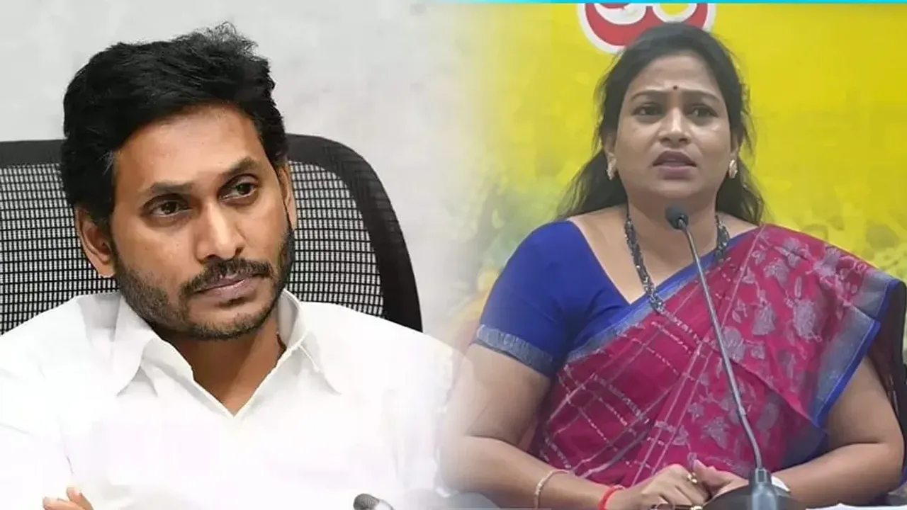Home Minister Anitha: మాజీ సీఎం జగన్ వ్యాఖ్యలపై హోం మంత్రి అనిత కౌంటర్
