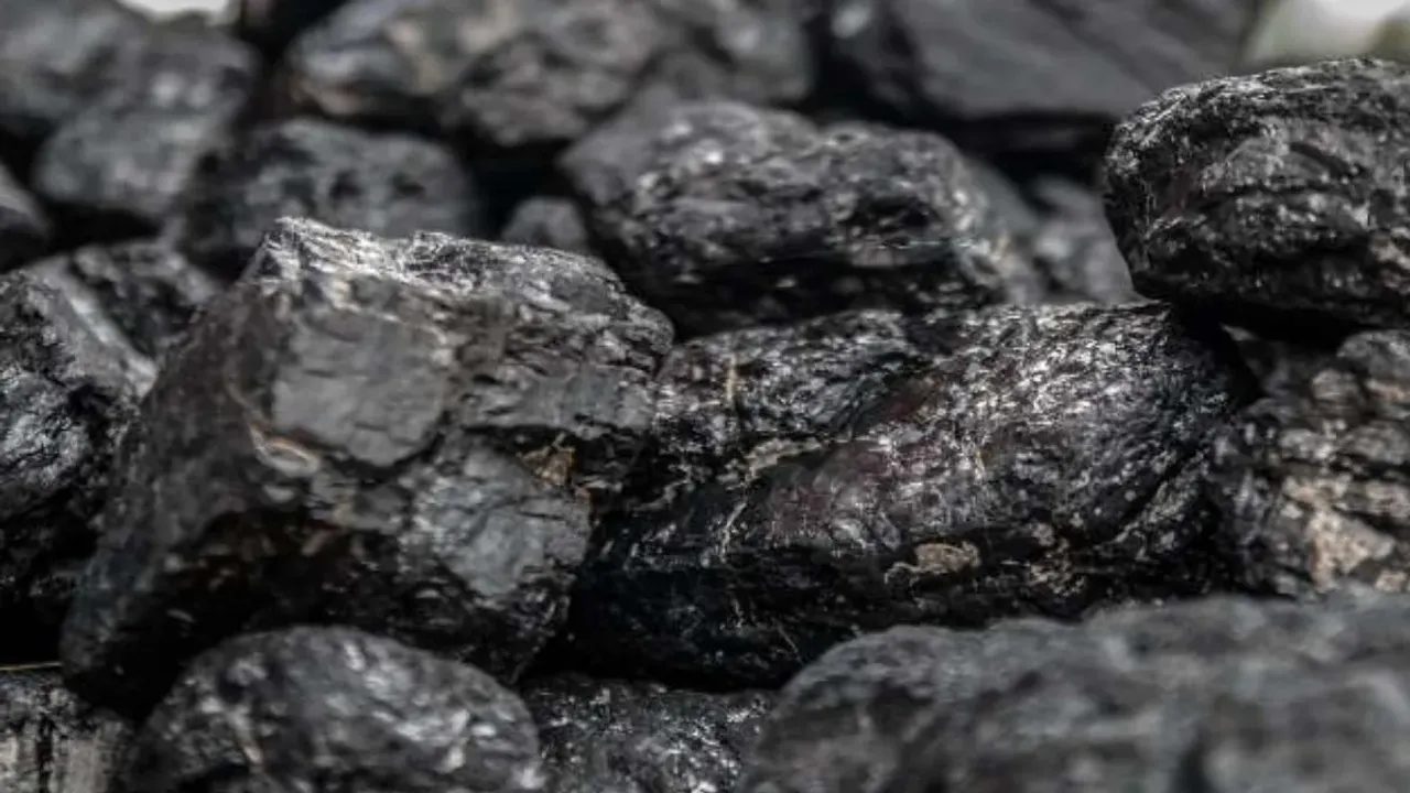 Shilajit power: షిలాజిత్‌తో స్త్రీలలో కూడా ఆ శక్తి పెరుగుతుందా?