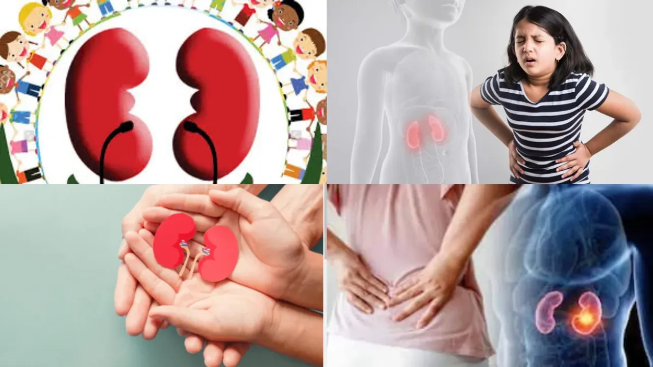 Kidney diseases in children:చిన్న పిల్లలో కిడ్నీ వ్యాధులు రావడానికి కారణాలు .. ఎలా గుర్తించాలి ?
