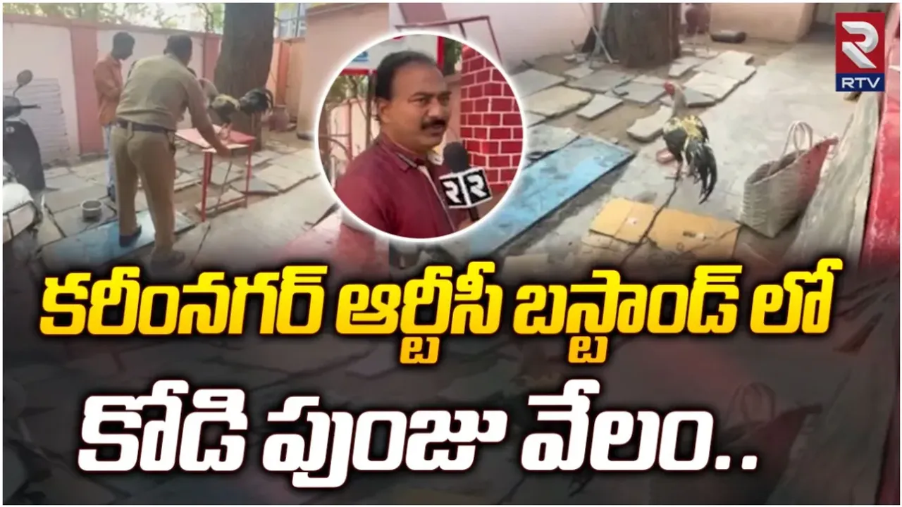 Karimnagar: పందెం కోడి వేలానికి ముందు బిగ్ ట్విస్ట్.. కోడి నాదే అంటున్న మహేష్