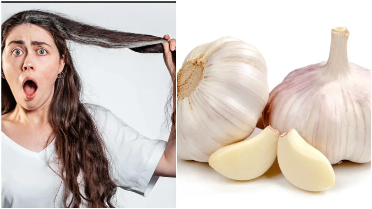 Garlic Hair Colour:  వెల్లుల్లి పొట్టు హెయిర్ కలర్.. ఇది పెడితే తెల్ల జుట్టు మాయం