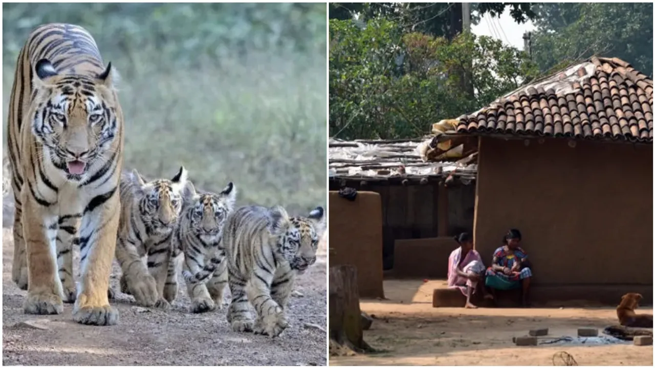 Nirmal: కవ్వాల్‌ టైగర్‌ రిజర్వు నుంచి గ్రామాల తరలింపునకు రంగం సిద్ధం