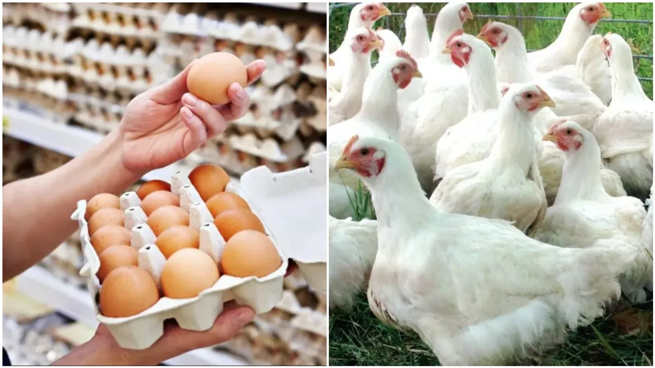 Egg Prices : వామ్మో గుడ్డు.. కొండెక్కి కూర్చున్న ధరలు!