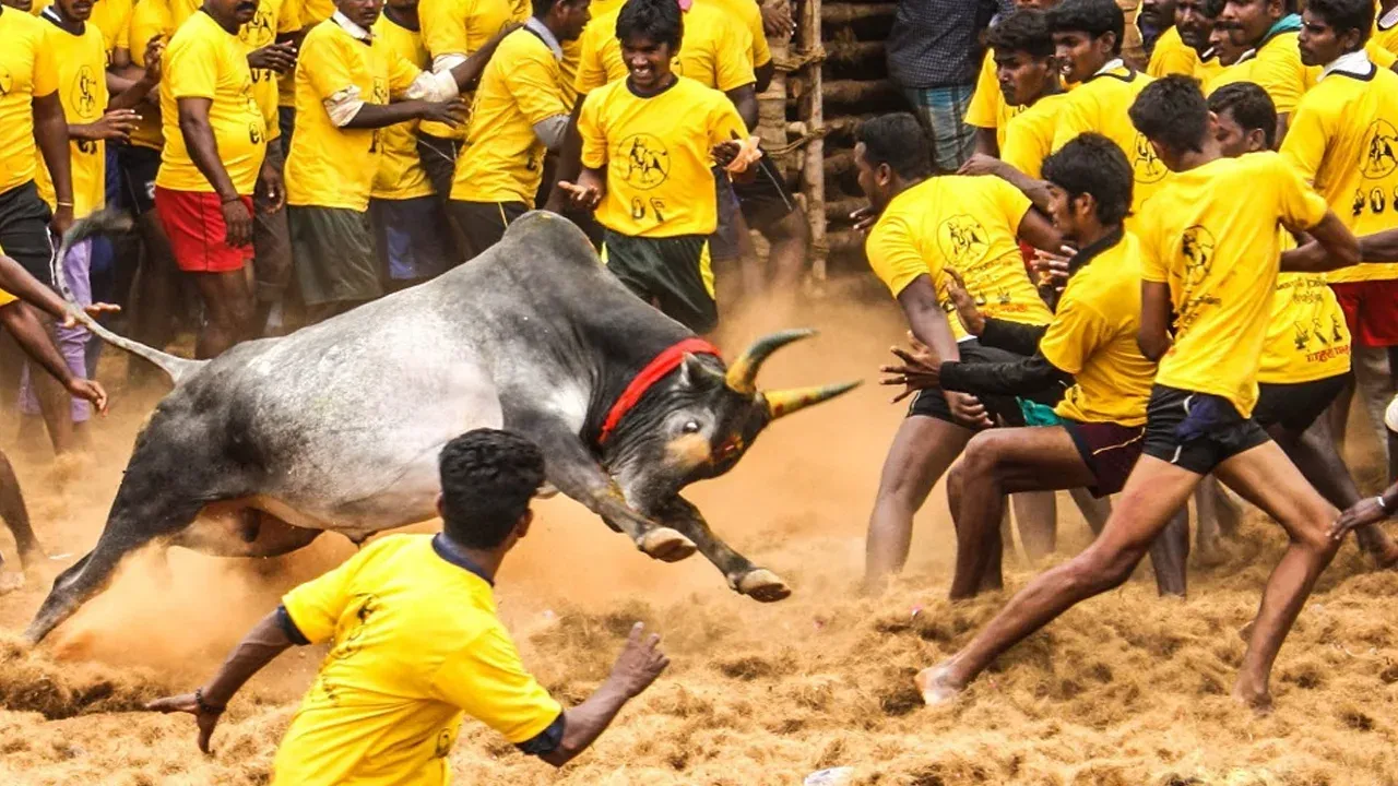 Jallikattu: జల్లికట్టు పోటీలు ప్రారంభం.. పెద్దఎత్తున తరలివస్తున్న జనాలు..