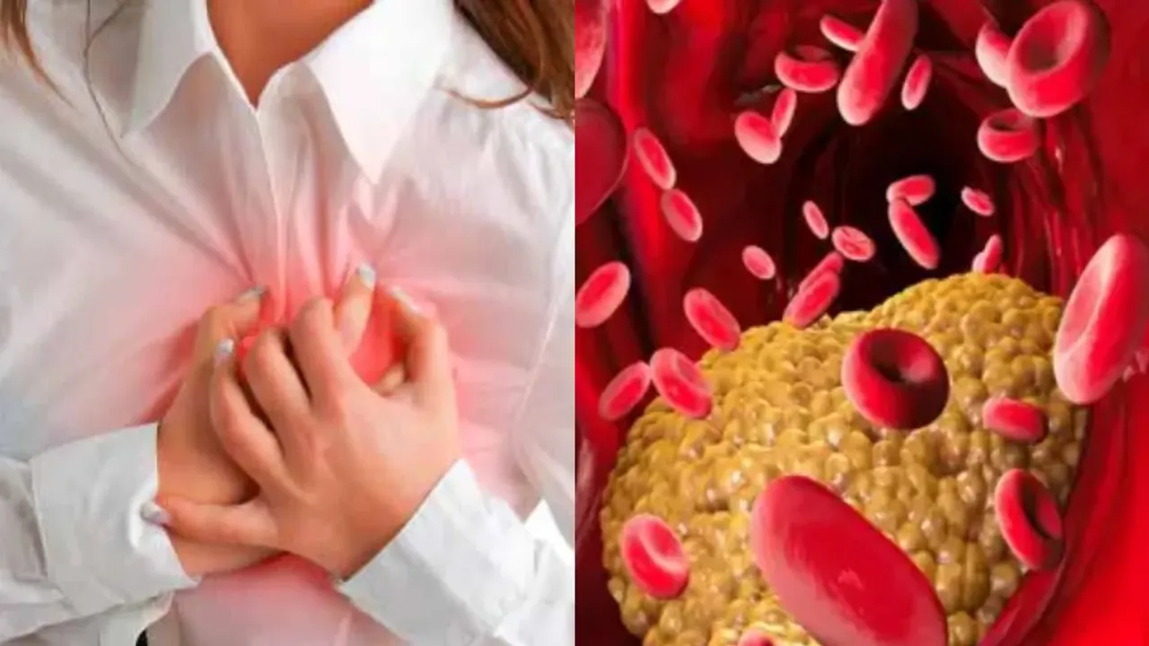 Heart Attacks : ట్రైగ్లిజరైడ్స్ అంటే ఏమిటి..? నిర్లక్ష్యం చేస్తే గుండెపోటు ఖాయమా..?