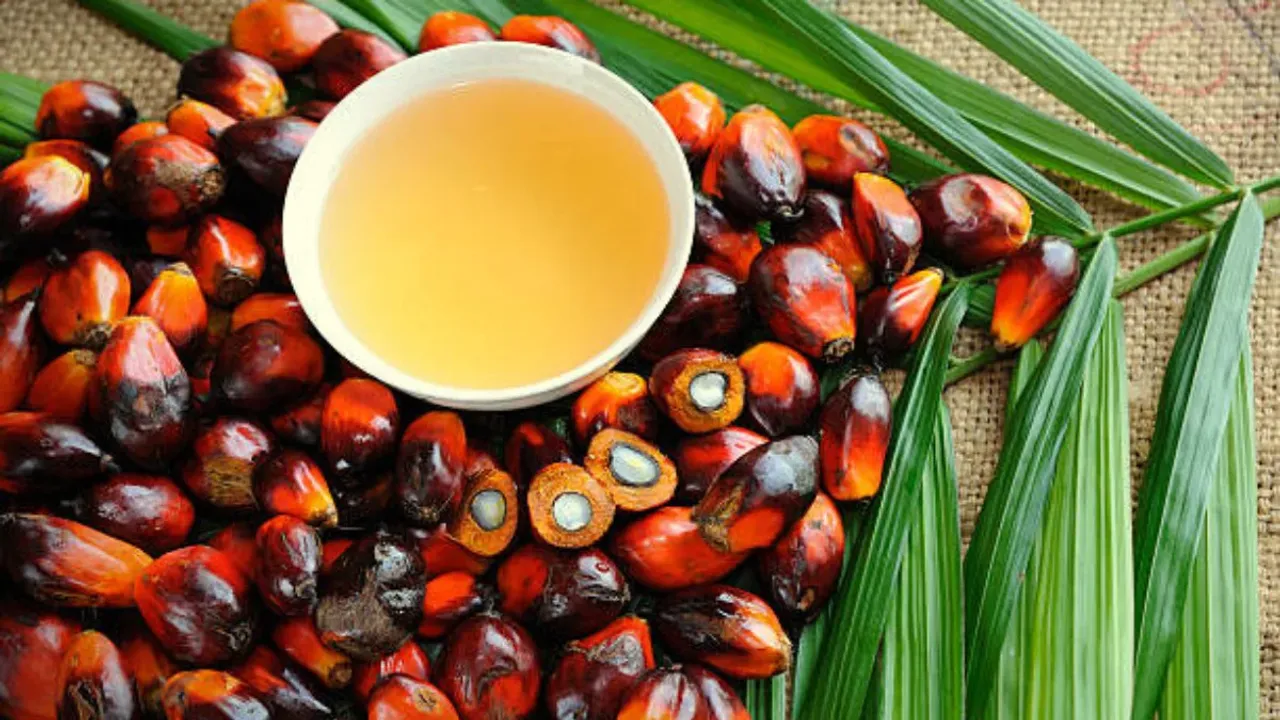 Palmoil: పామాయిల్ ఆరోగ్యానికి మంచిదేనా?.. నిపుణులు ఏమంటున్నారు?