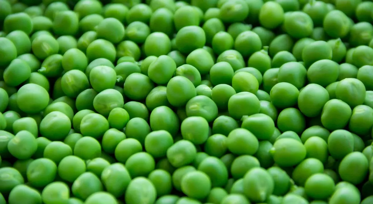 Green Peas : గ్రీన్‌ పీస్‌ తినడం వల్ల కలిగే అద్భుతమైన ప్రయోజనాలు ఇవే!