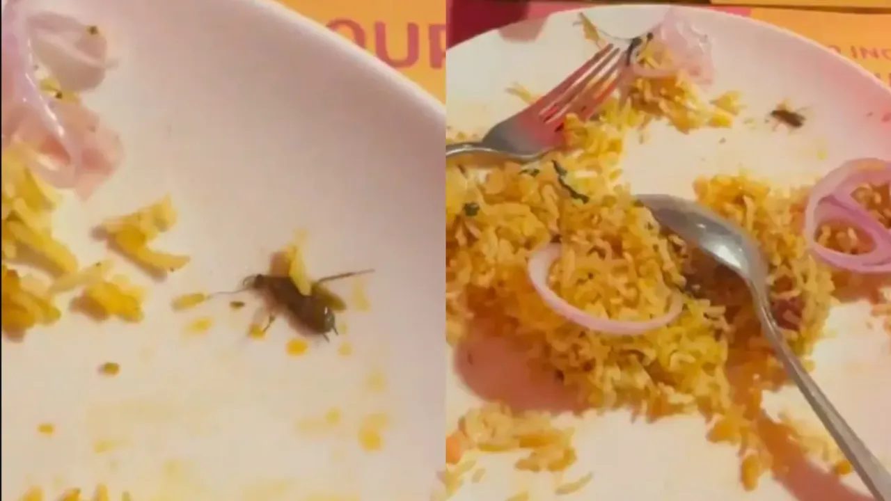 Viral Video:  పేరుకు టాప్ రెస్టారెంట్‌..  బిర్యానీలో ఏమో బొద్దింకలు.. వీడియో వైరల్!