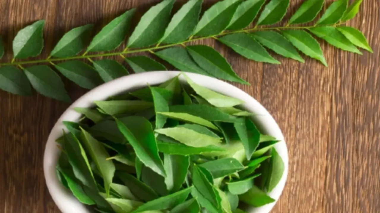 Hair Fall: జుట్టు రాలిపోతుందా..అయితే కరివేపాకు నూనెను రాసేద్దాం!