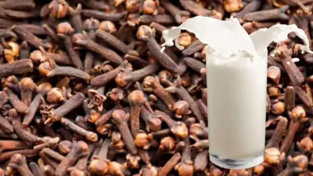 Cloves Milk: పాలల్లో లవంగాలు కలిపి తాగితే ఈ నొప్పులు ఉండవు