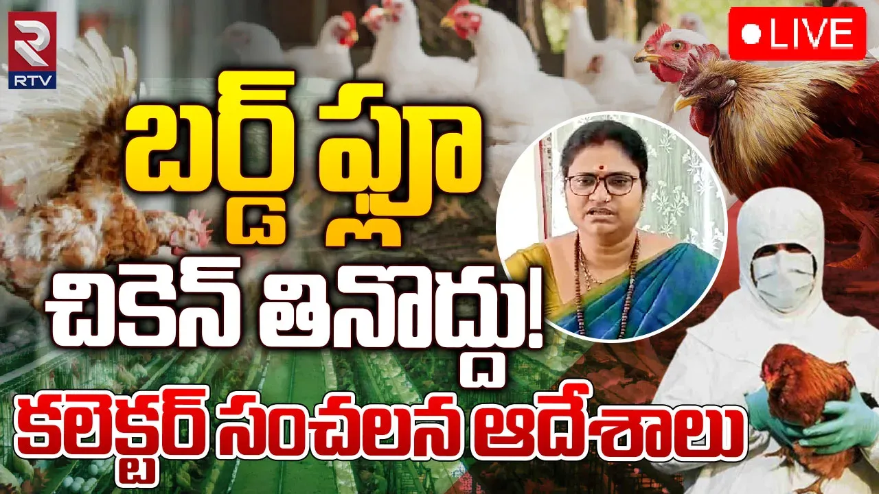 Nellore : నెల్లూరు జిల్లాలో బర్డ్‌ఫ్లూ కలకలం