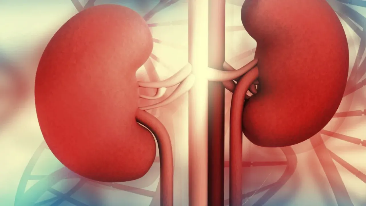 kidney Damage: నేను ఇబ్బంది పడుతున్నానని కిడ్నీ చెబుతుంది.. పట్టించుకోకపోతే అంతేసంగతులు