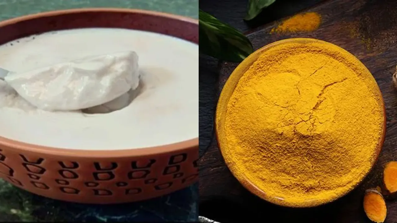 Healthy Food:పెరుగులో పసుపు వేసుకుని తినొచ్చా.. తింటే ఏమవుతుంది?