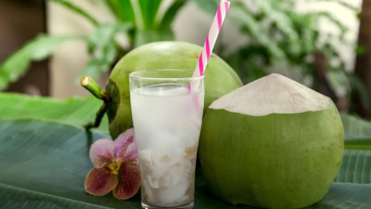 Coconut Water : కొబ్బరి నీళ్లు ఇలా తాగితే.. ఆరోగ్యానికి అద్భుతమైన లాభాలు