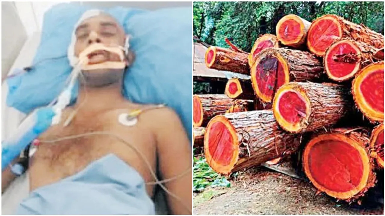 Red Sandalwood : మరోసారి రెచ్చిపోయిన ఎర్రచందనం స్మగ్లర్లు.. కానిస్టేబుల్‌పై దారుణం
