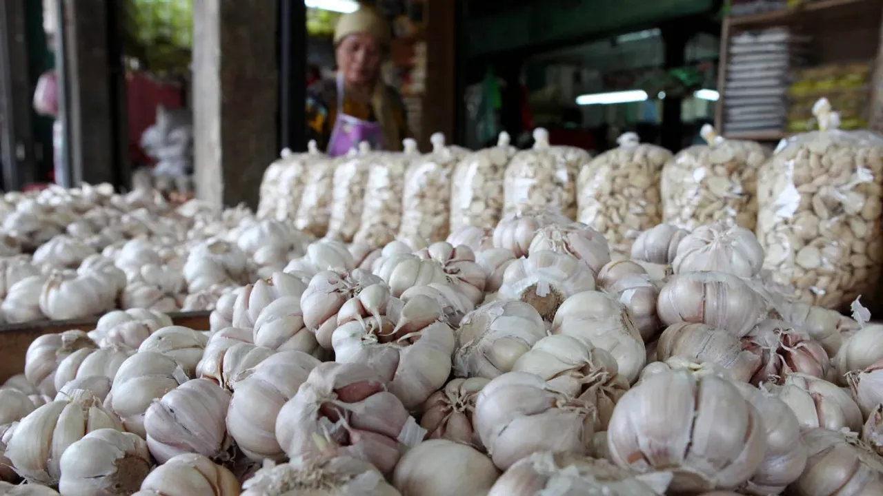 Garlic Price : అమ్మో వెల్లుల్లి ఘాటు.. మామూలుగా లేదు.. రికార్డు రేటు!