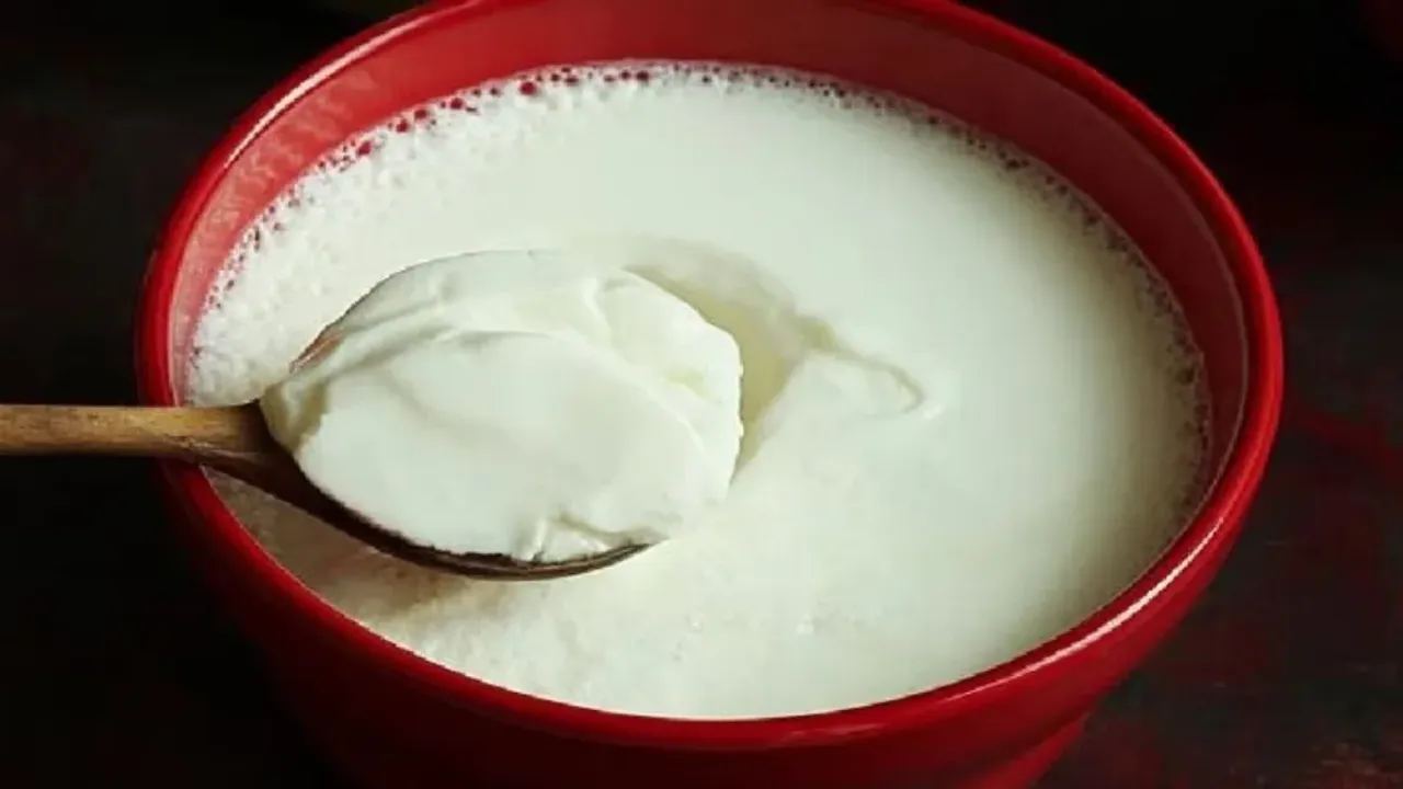 Greek Curd: గ్రీక్ పెరుగు ఎప్పుడైనా విన్నారా? రెగ్యులర్ పెరుగుకీ దీనికీ తేడా ఏమిటంటే