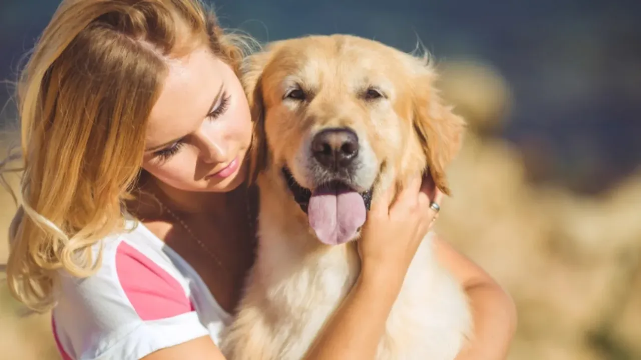 Dogs Tips : పెంపుడు కుక్కలకు వయసైపోయిందని ఎలా తెలుస్తుంది?..ఈ లక్షణాలు గమనించండి