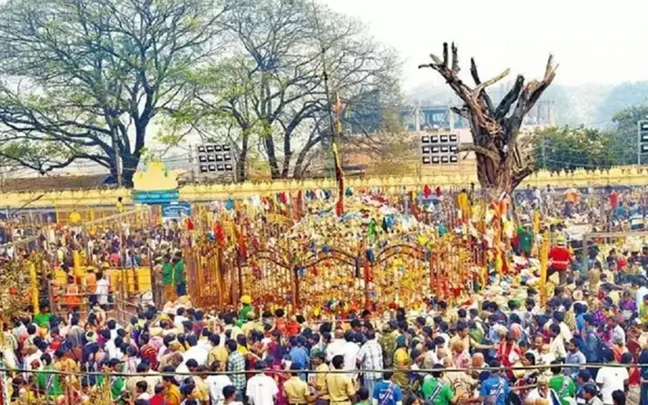 Sammakka-Sarakka: గిరిజనుల గుండెల్లో కొలువైన దేవతలకు భక్తజన నీరాజనం సమ్మక్క-సారక్క జాతర  