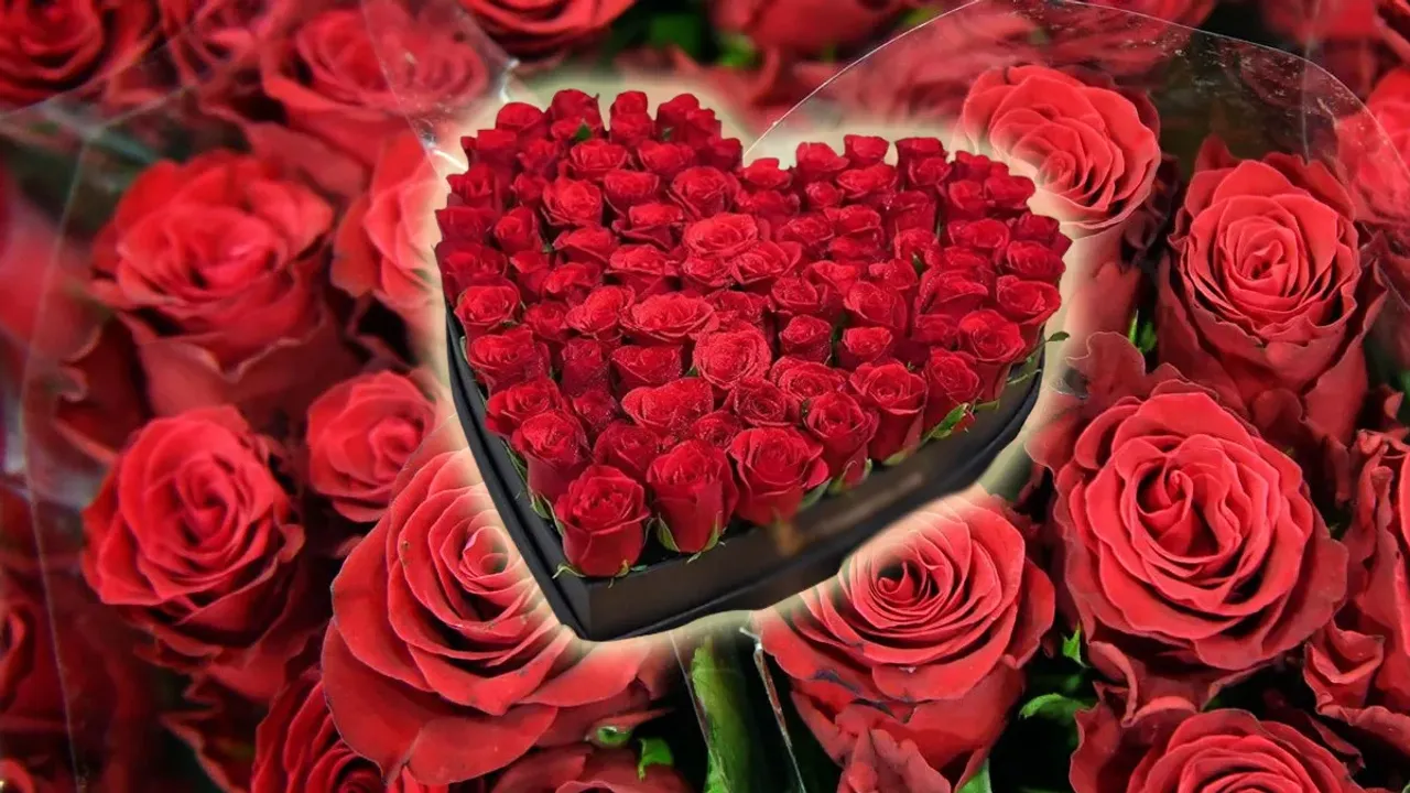 Valentines Day Roses: వాలెంటైన్స్ డే.. గులాబీల ఎగుమతిలో రికార్డ్.. 