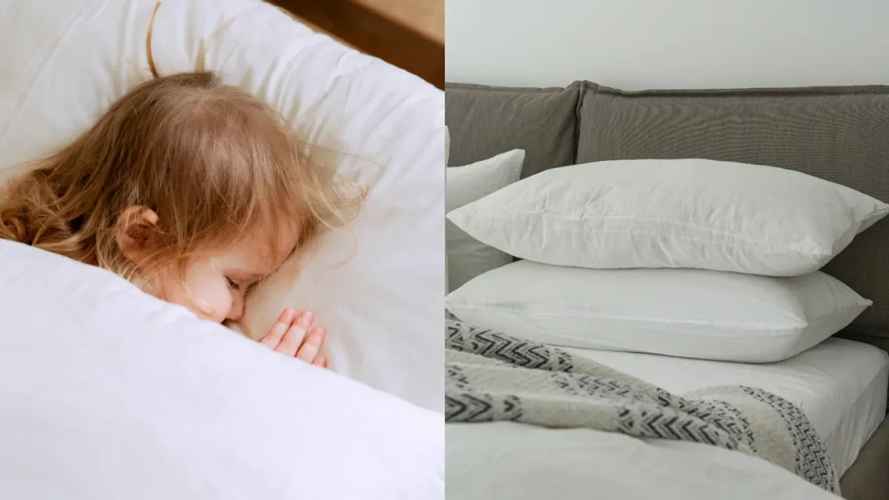 Good Sleeping : మంచి నిద్ర కోసం ఎలాంటి దిండ్లను ఉపయోగించాలి?.. ఇలాంటివి వాడితే అనారోగ్యం తప్పదు