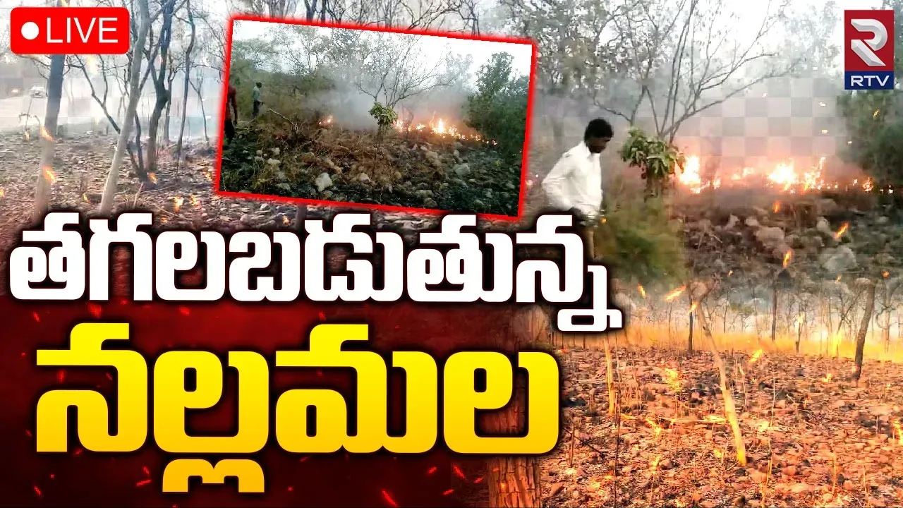 Nallamala Forest:నల్లమల్ల అడవుల్లో రగిలిన కార్చిచ్చు