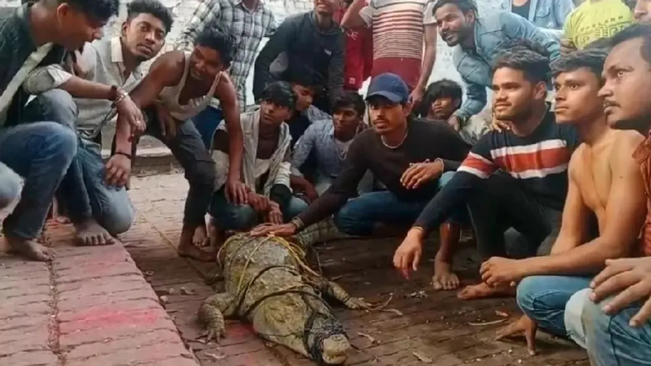 Crocodile: గంగా ఘాట్‌లో బయటపడ్డ మొసలి.. స్థానికులు ఏం చేశారంటే..